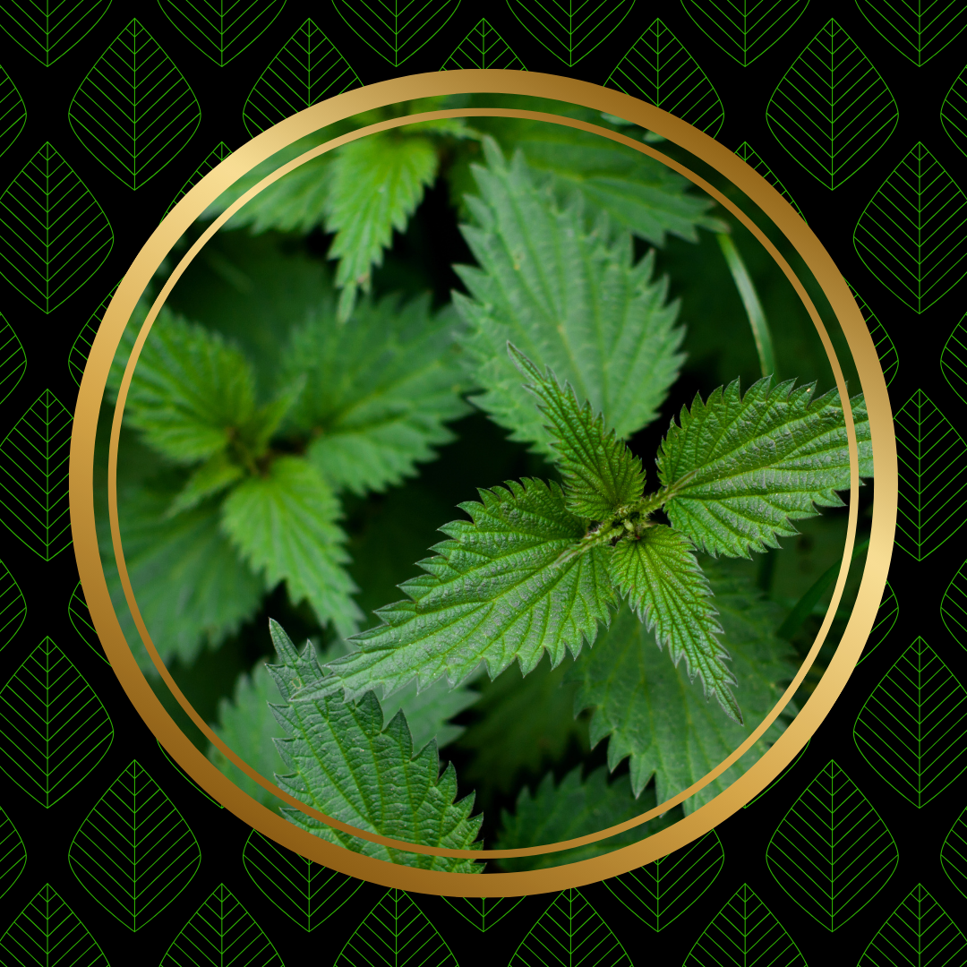 Nettle