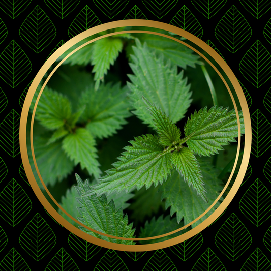 Nettle